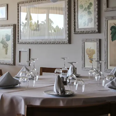 Hotel Vale D'azenha Rural & Residences 4*